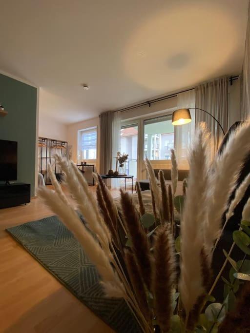 Apartmán Design, Hochschule, Wildpark, Zentral, Waipu Tv, Netflix Pforzheim Exteriér fotografie