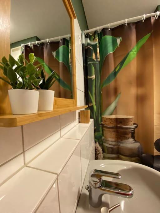 Apartmán Design, Hochschule, Wildpark, Zentral, Waipu Tv, Netflix Pforzheim Exteriér fotografie